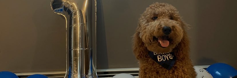 LittttleAshh's profile banner image