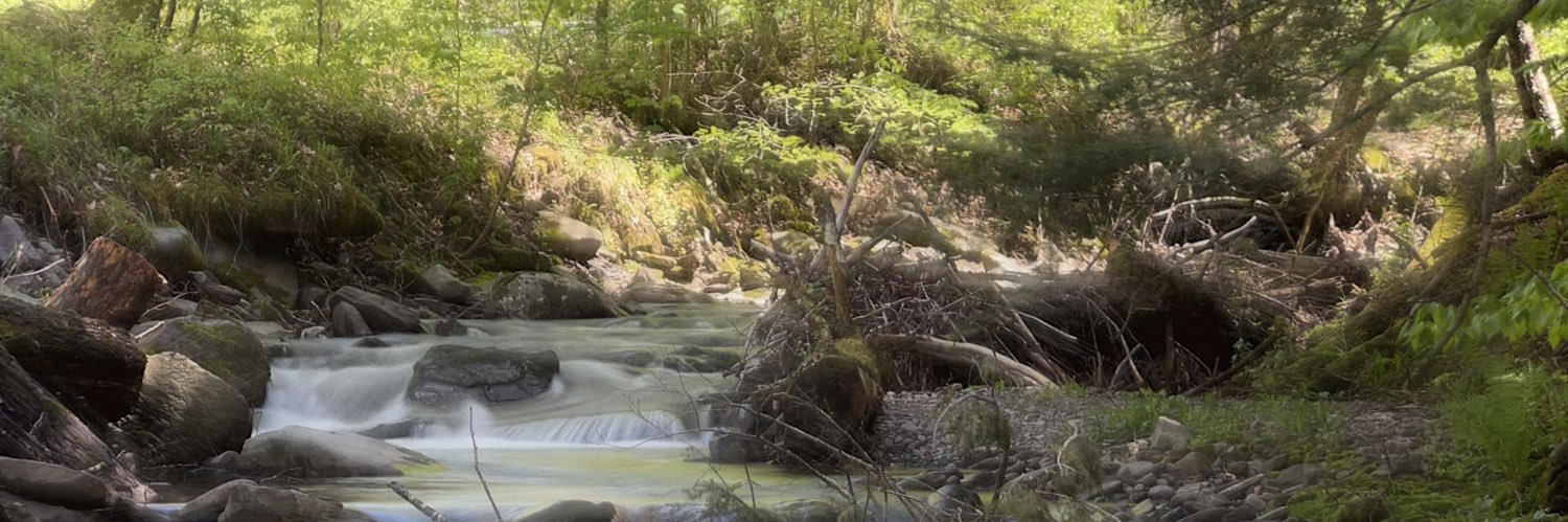 Kevin Sutorius banner