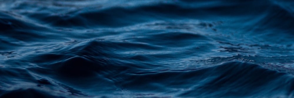 Michael S 🇺🇸🦅💙 banner