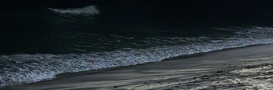 Panther02113's profile banner image
