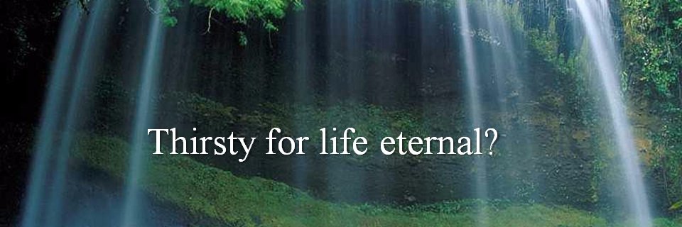 onlywonlife's profile banner image