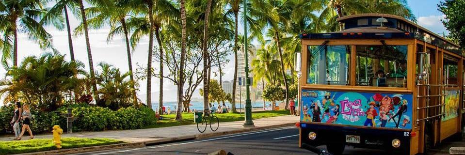 Lauren Sovester banner