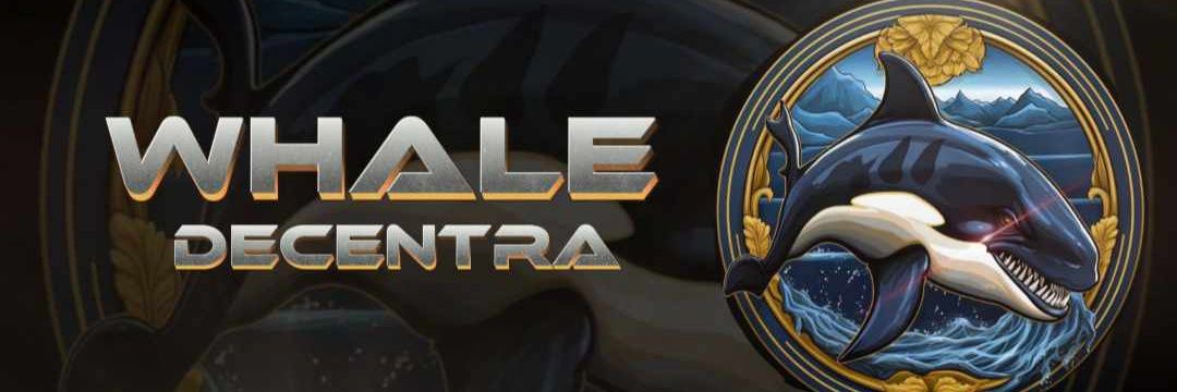 Whale | Decentra🐋's banner