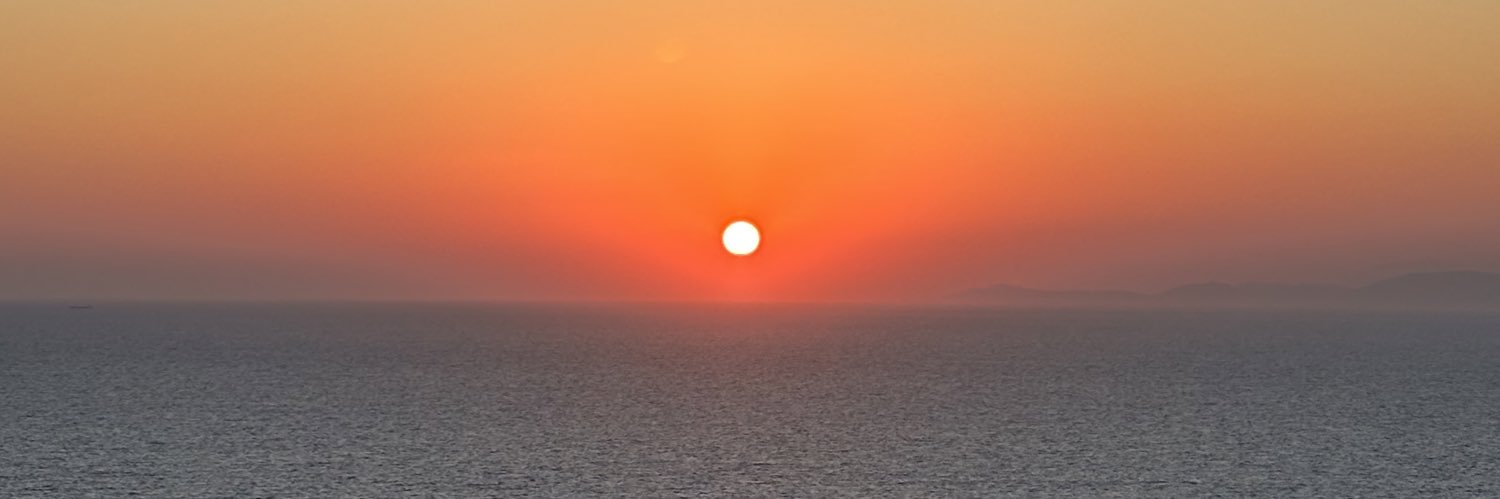 Zoi Netou-Kandylidou banner