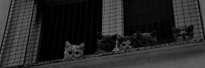 angell12208's profile banner image