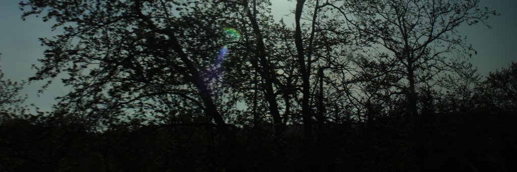LarryShipper_09's profile banner image