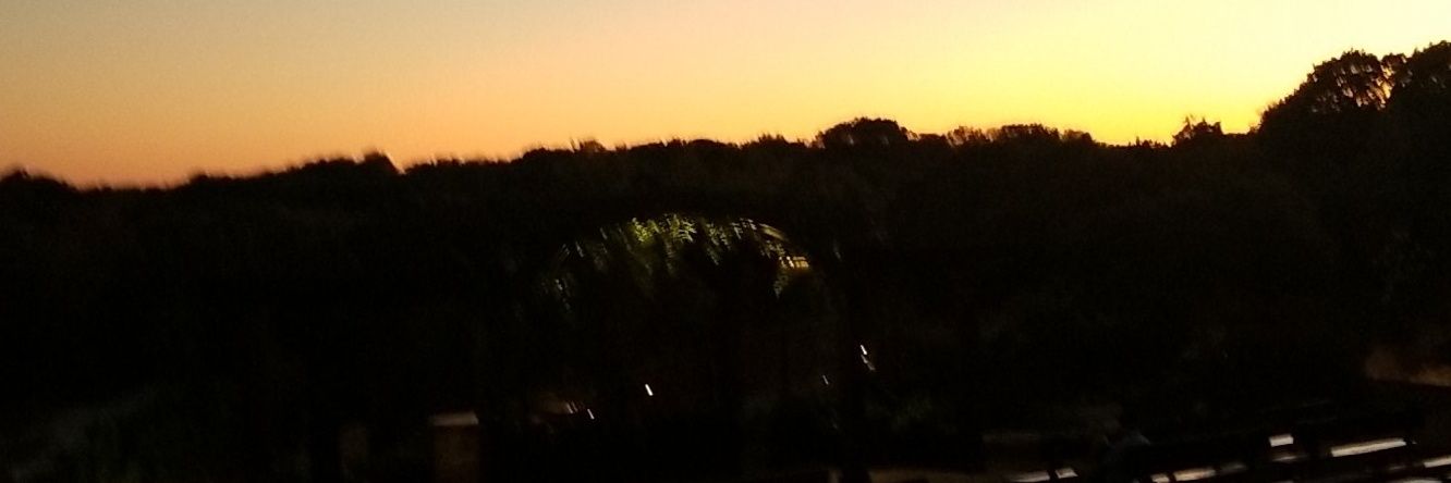 ALL MONEY $IGN$ banner