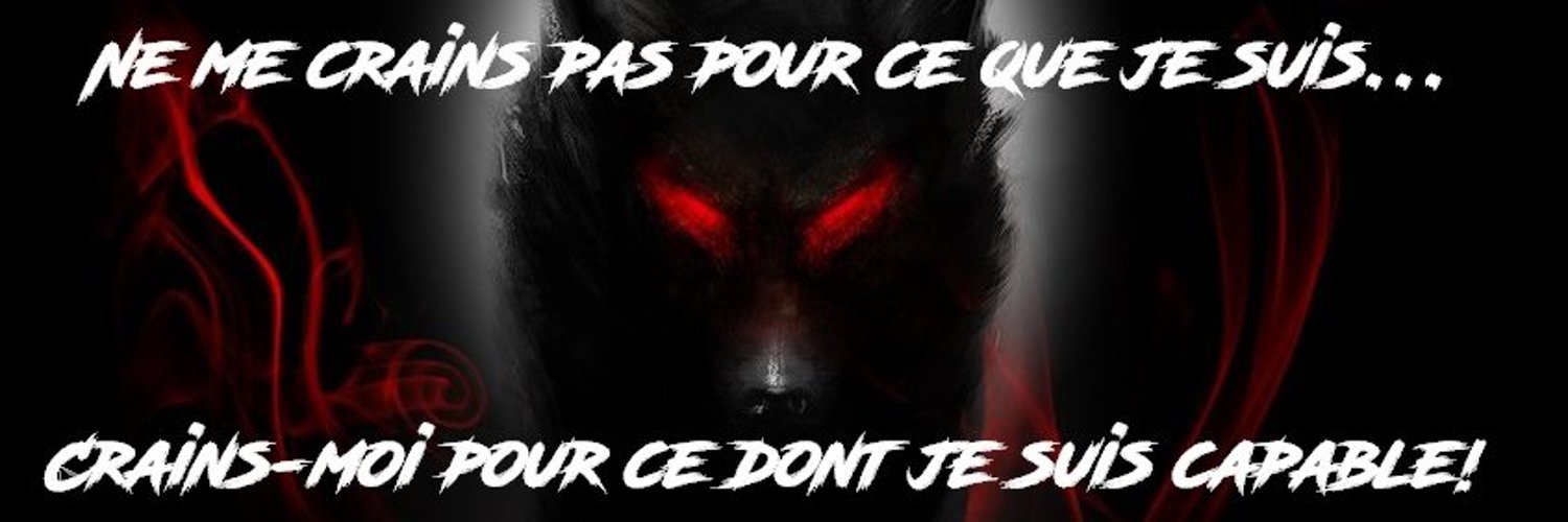 Wolf Rimor banner