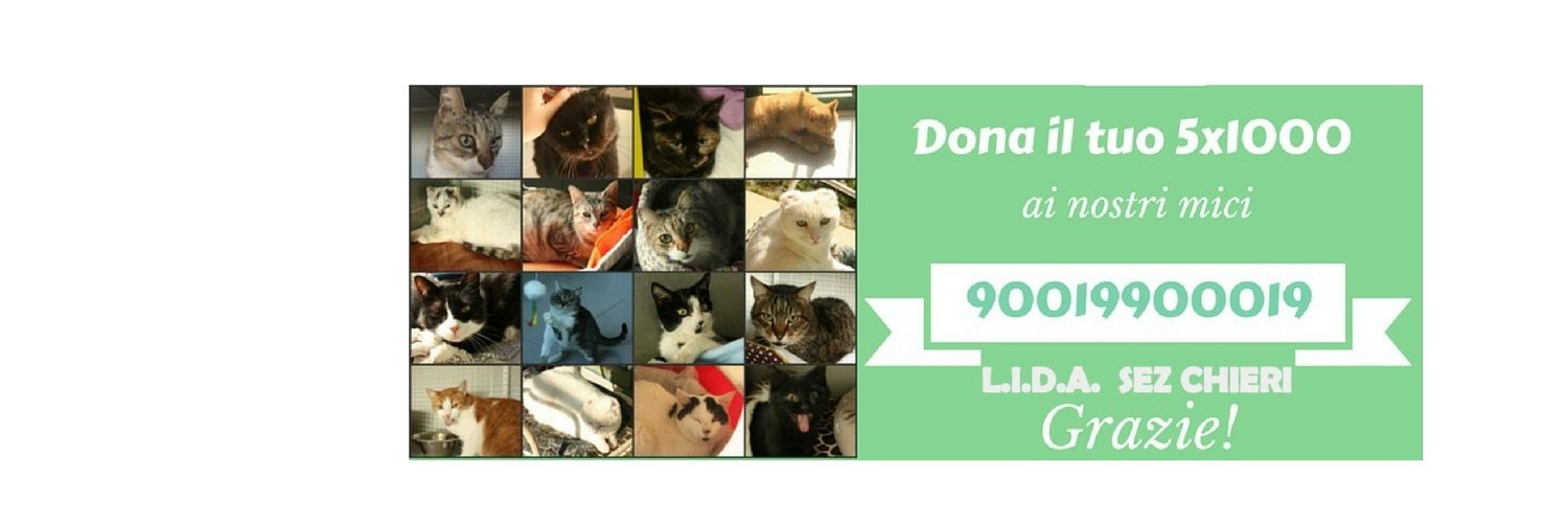 ParcodelleFusa's profile banner image