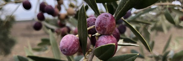 ErcLesGarrigues Profile Banner
