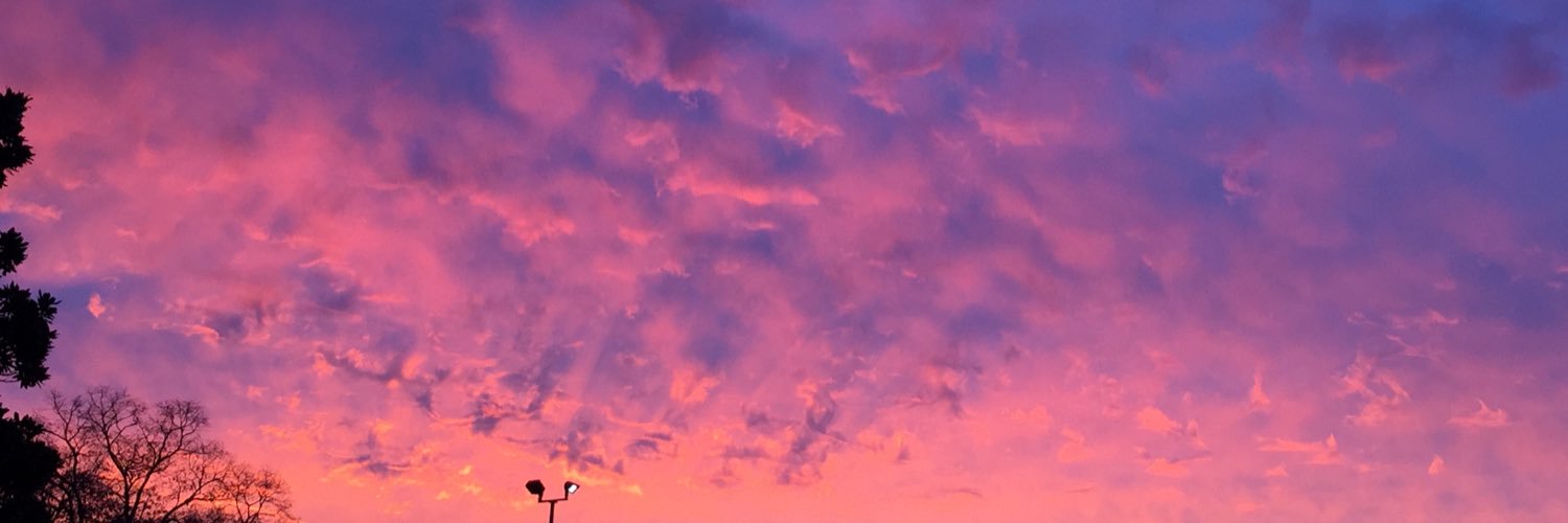 BandersonLand's profile banner image