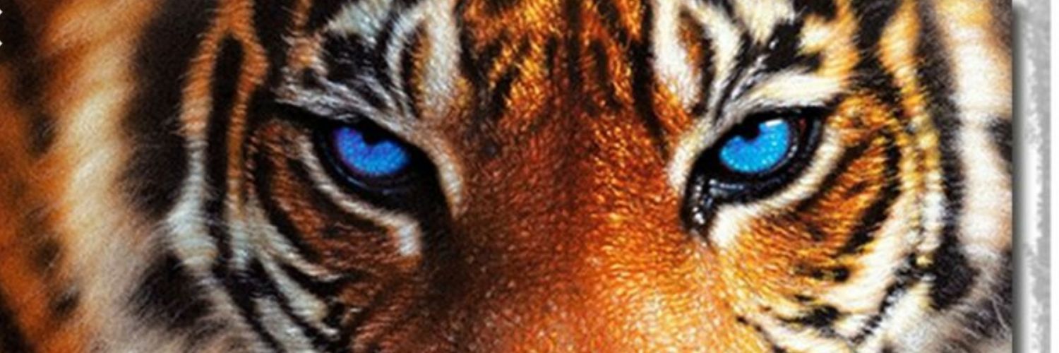 beeterman000's profile banner image