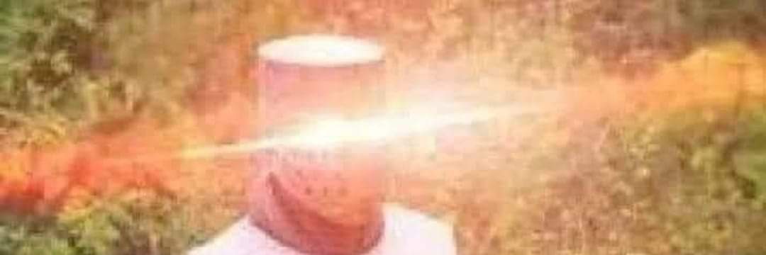 HLLGCD0 banner