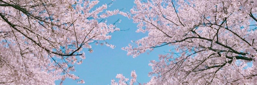 monicatiaraa's profile banner image
