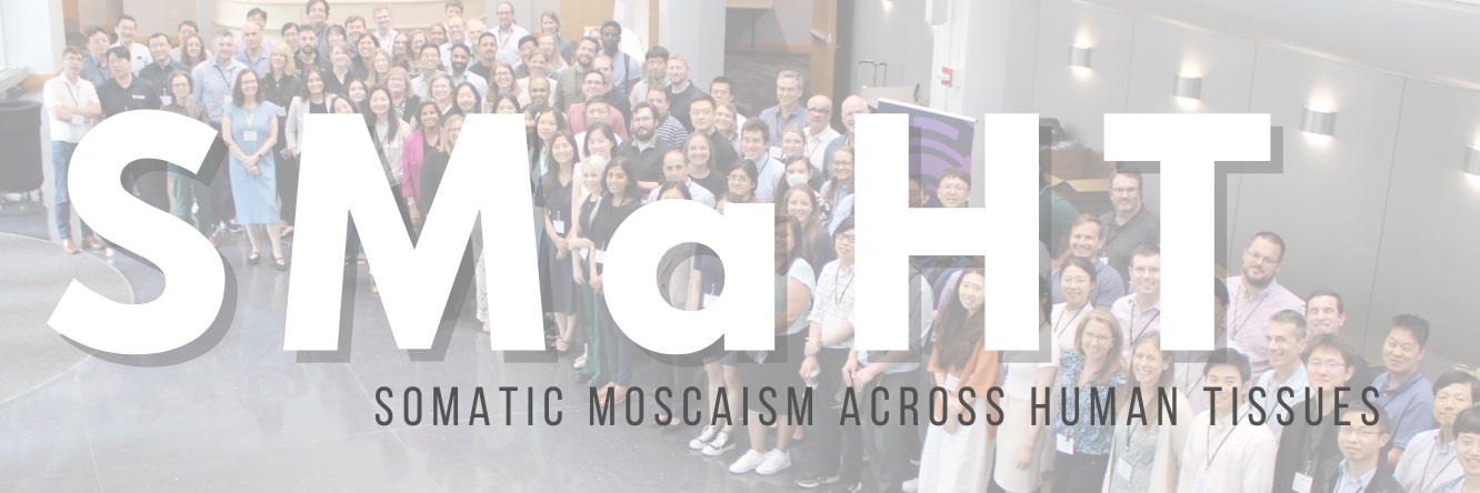 SMaHT Network's banner