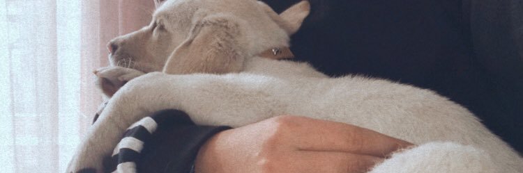 _beleen_'s profile banner image
