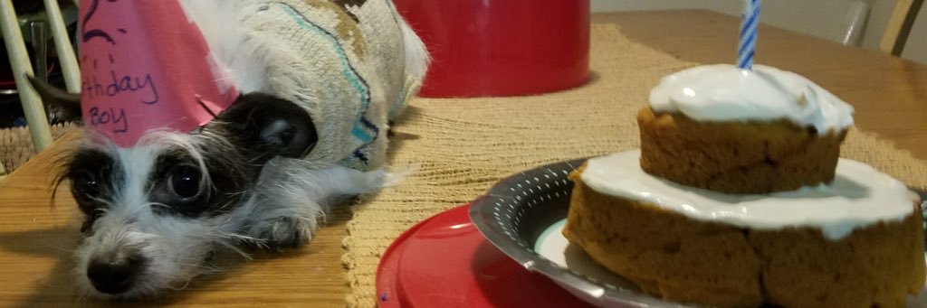 ihadapetwolf's profile banner image