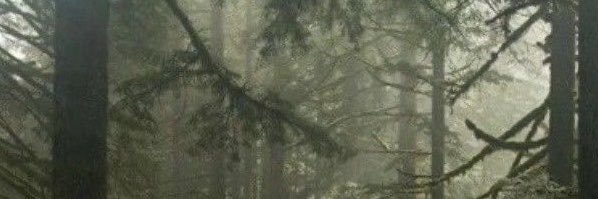 sombertattoo's profile banner image