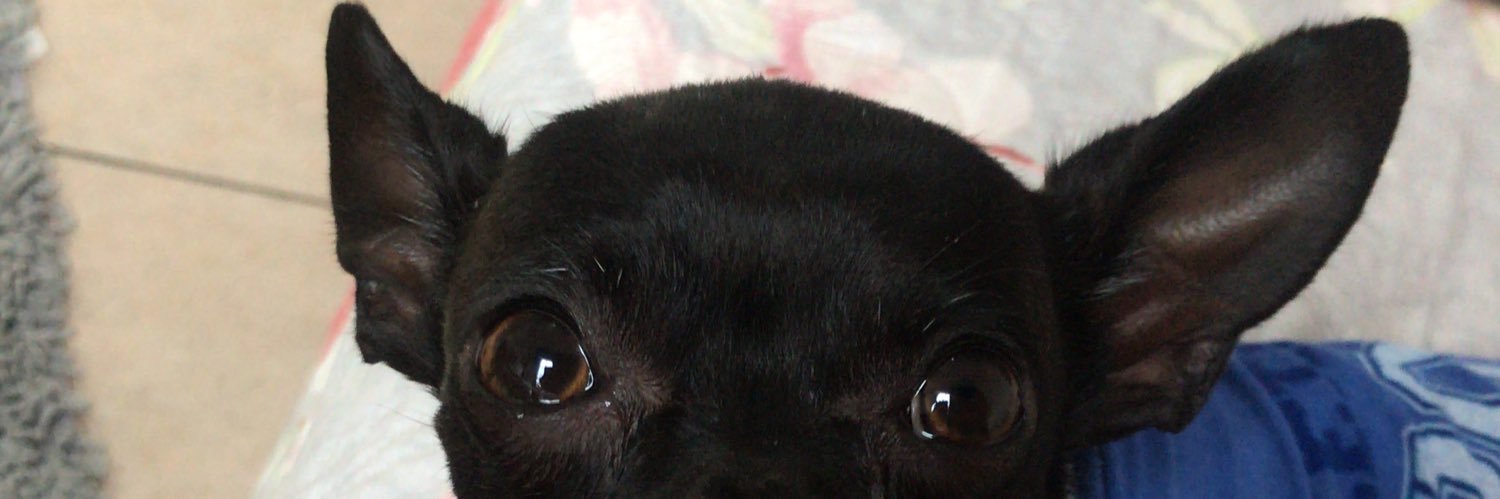 lagosfernanda_'s profile banner image