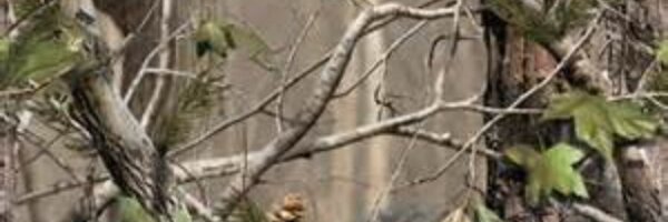hiltonronnie18 Profile Banner
