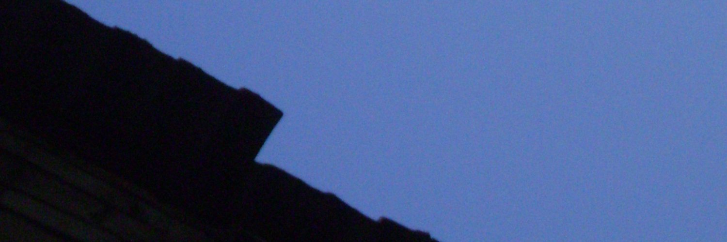 ❤‍🔥🪽⚔🐕‍🦺 banner