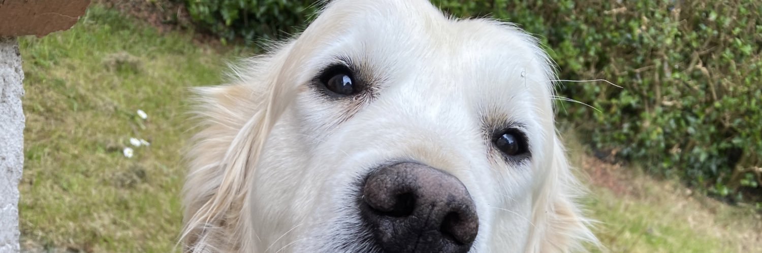 nademalone's profile banner image
