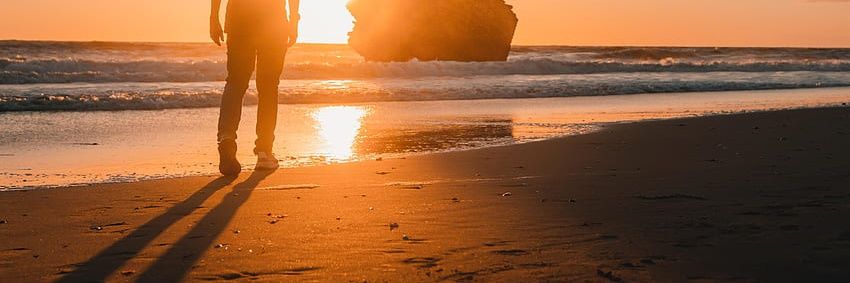 The Beach Boy banner