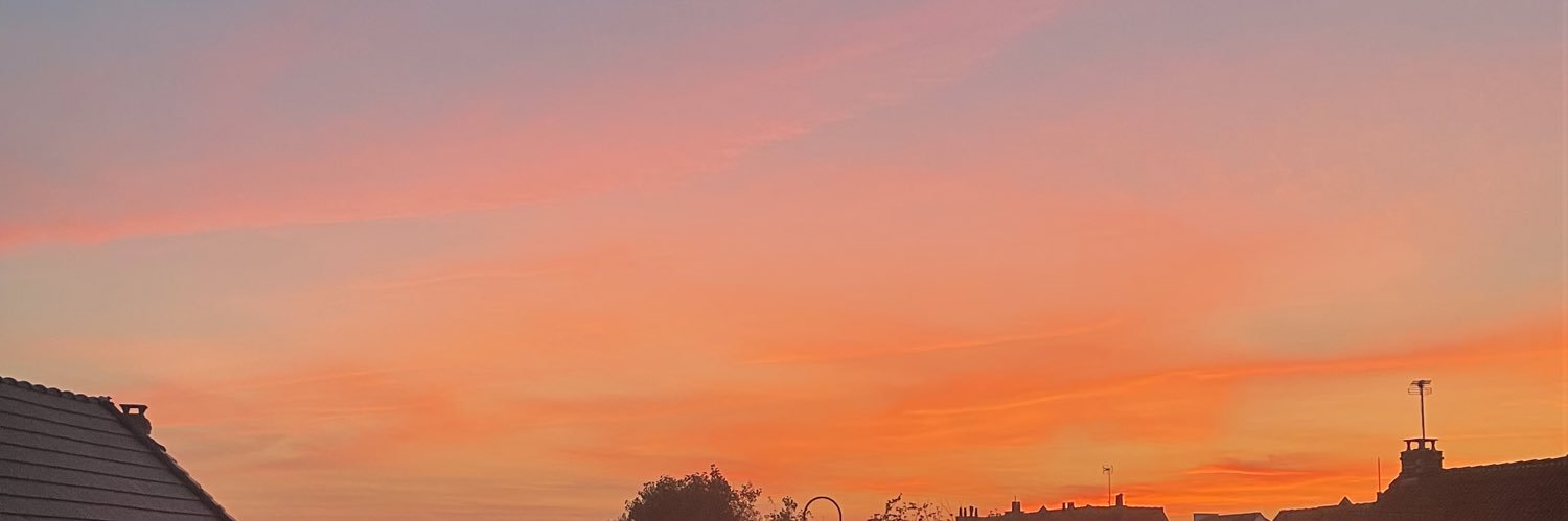 margothubaut's profile banner image