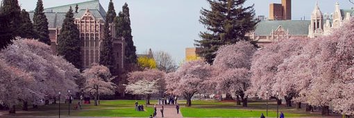 jenblume's profile banner image