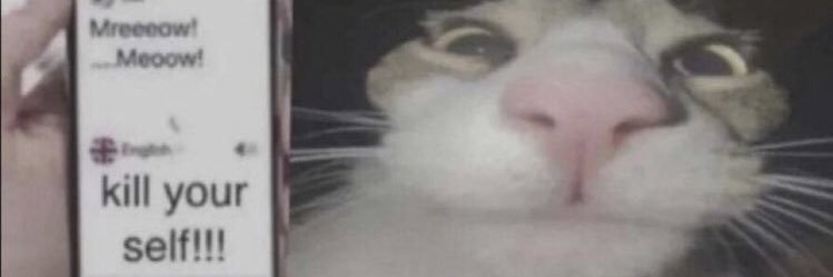 varrbie's profile banner image