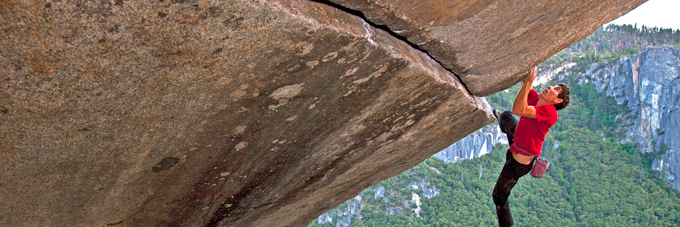 wvtradr's profile banner image