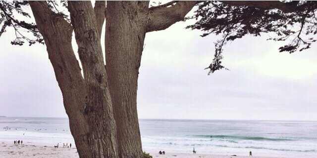 blaire_ward's profile banner image