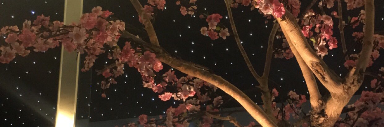 Tarire_'s profile banner image