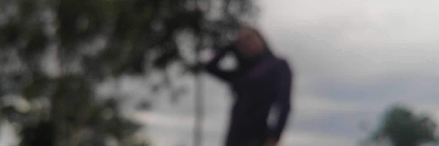 LauyeMeza's profile banner image