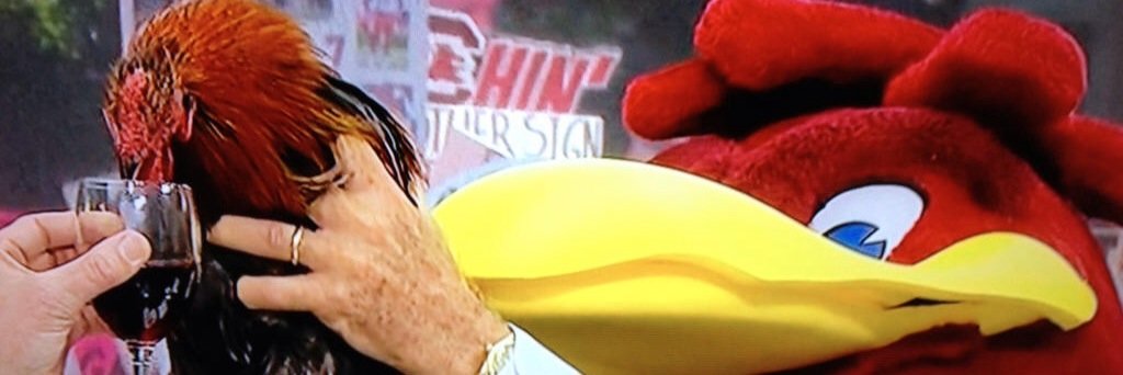 CFWednesday's profile banner image