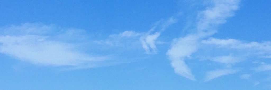 MaiselPod's profile banner image