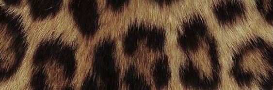 sughunicet's profile banner image