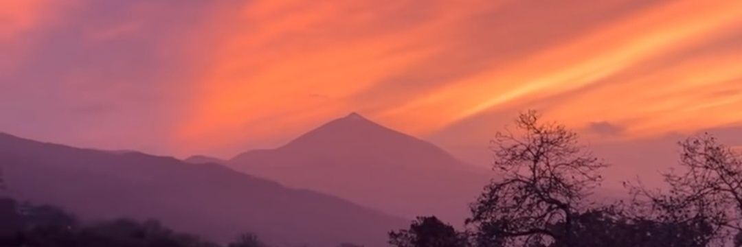 alma7385's profile banner image