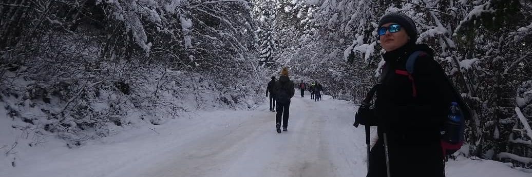 ayseakyol5's profile banner image