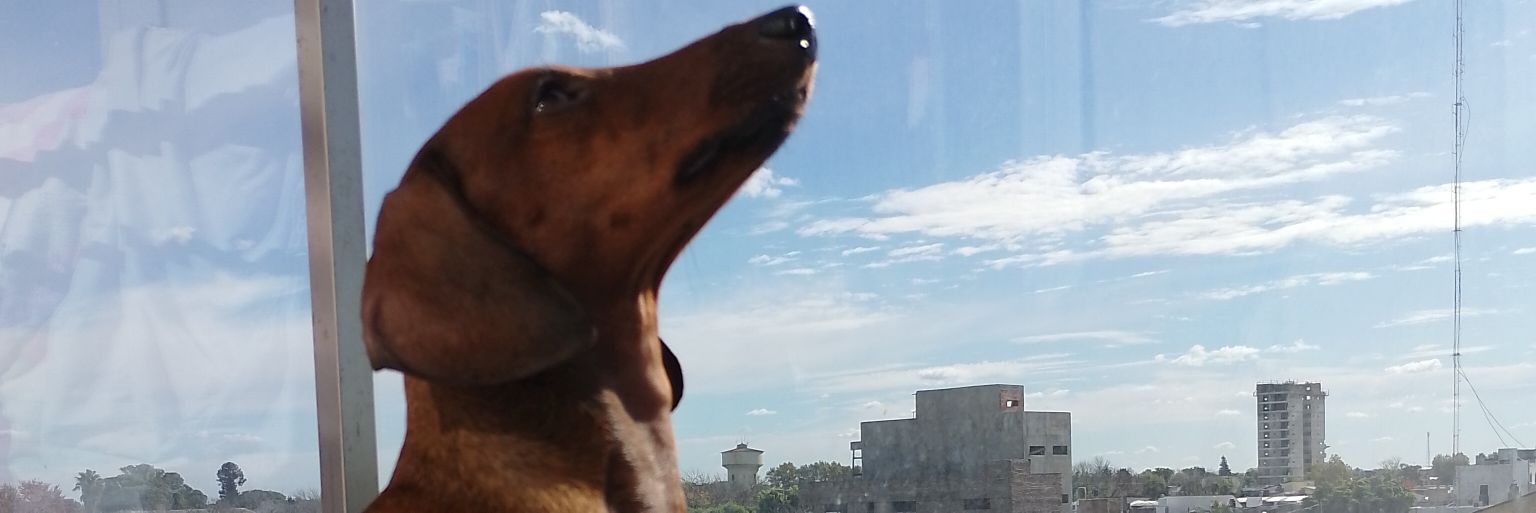 GiorFranco's profile banner image