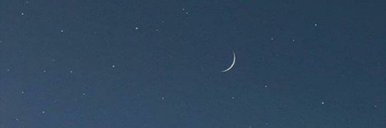 Lupi_GS's profile banner image