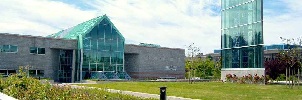 AllisonLibrary's profile banner image