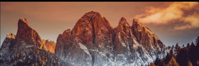 Scott🇨🇩 banner