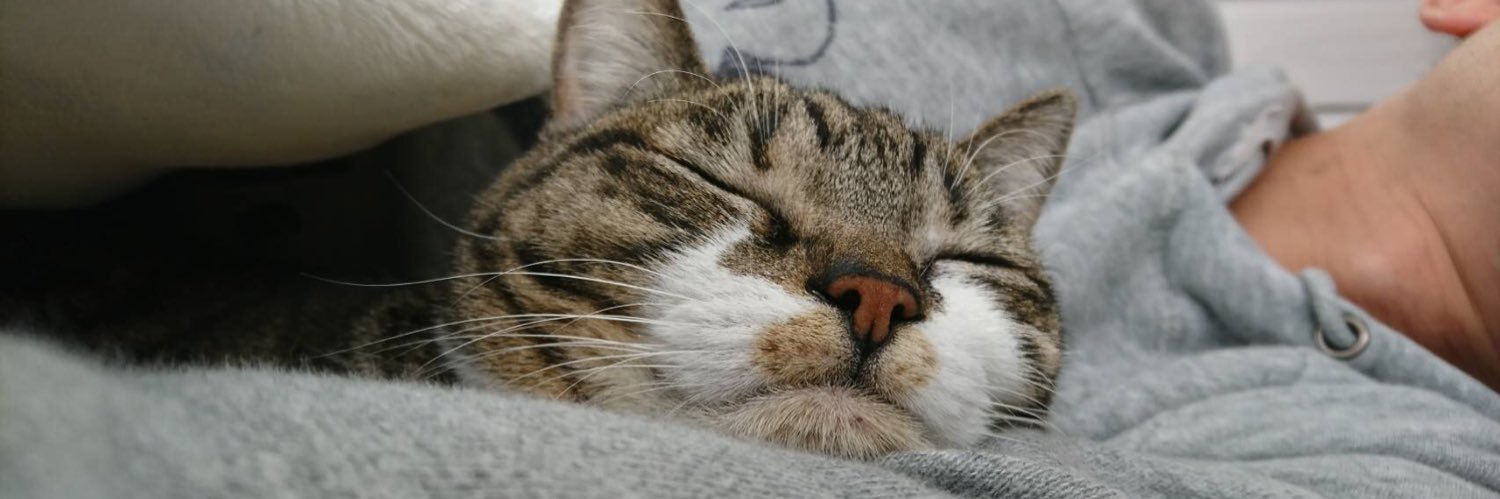 佐久間一禎 banner