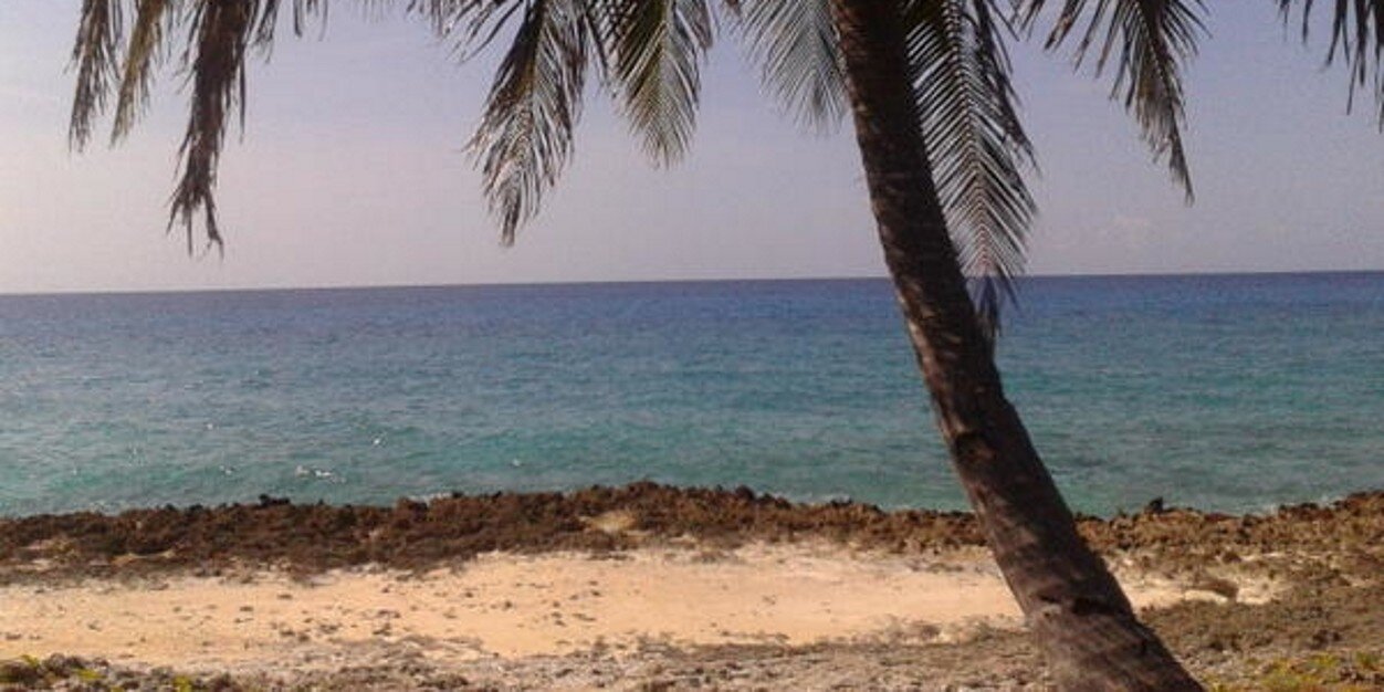 dg_beachbum's profile banner image