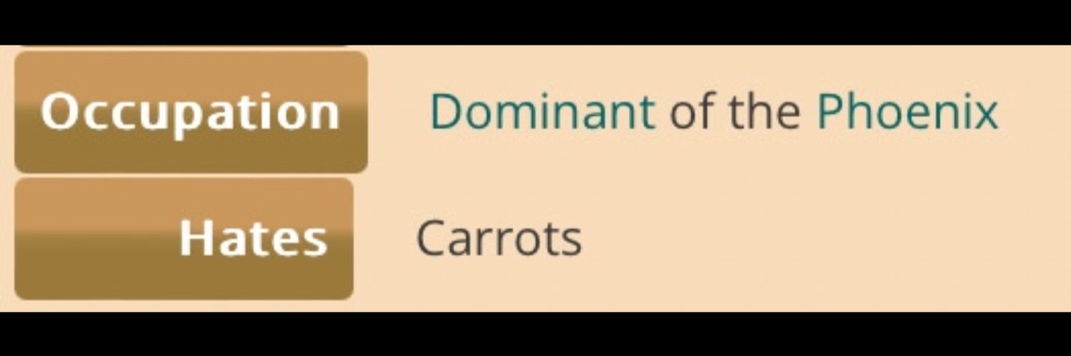 soy's banner