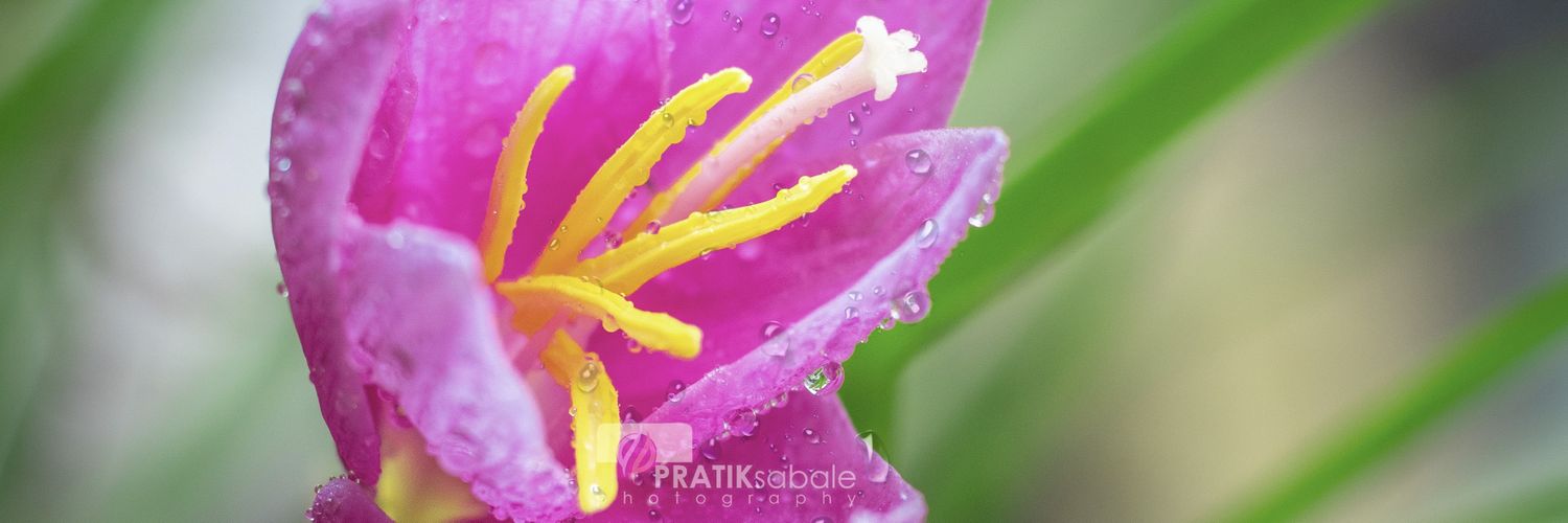 pratik_sabale's profile banner image