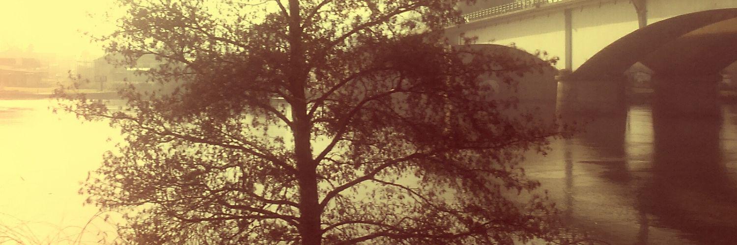 IbarrapJose's profile banner image