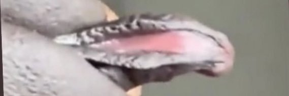 YungDreadVa's profile banner image