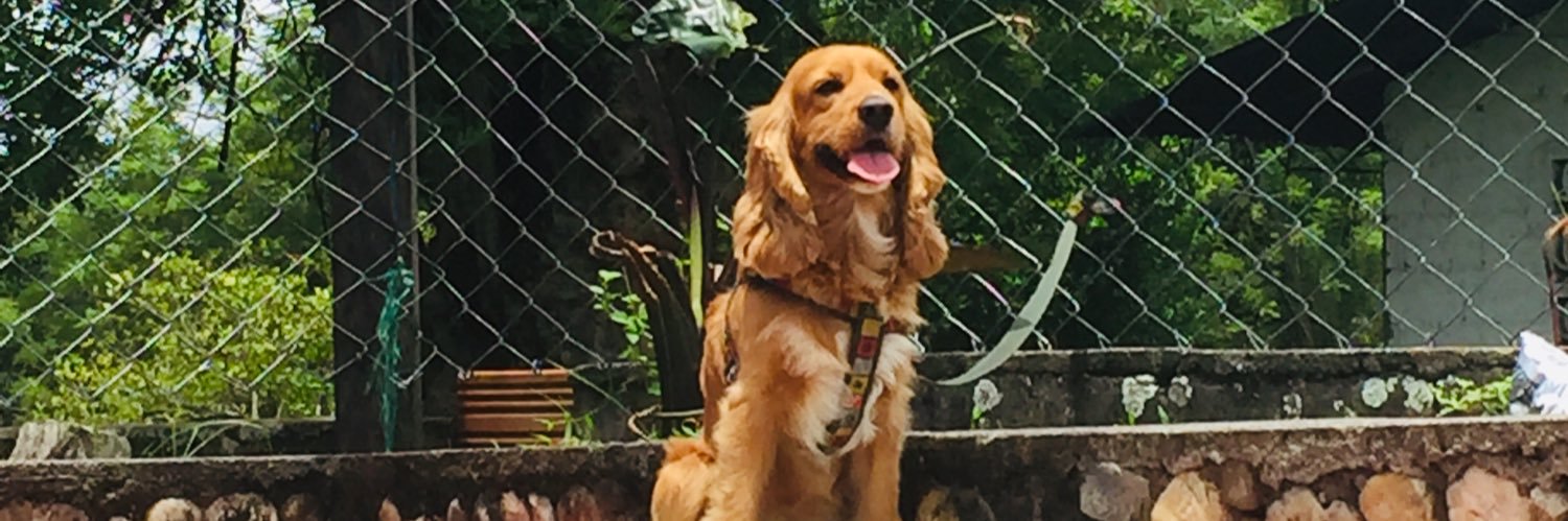 lherrerj's profile banner image